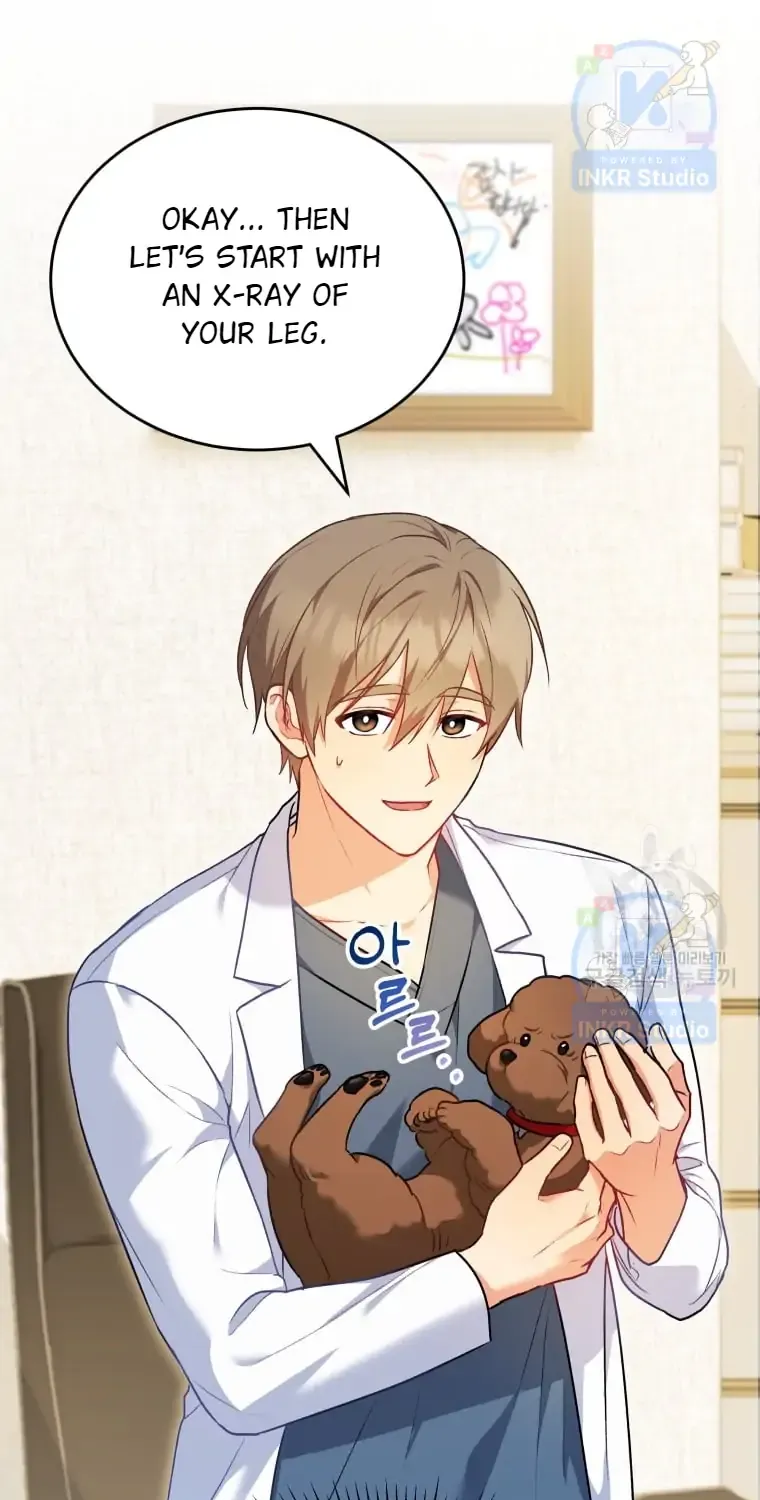 Read Hello! Veterinarian! chapter 3 image 17 on Lezhin