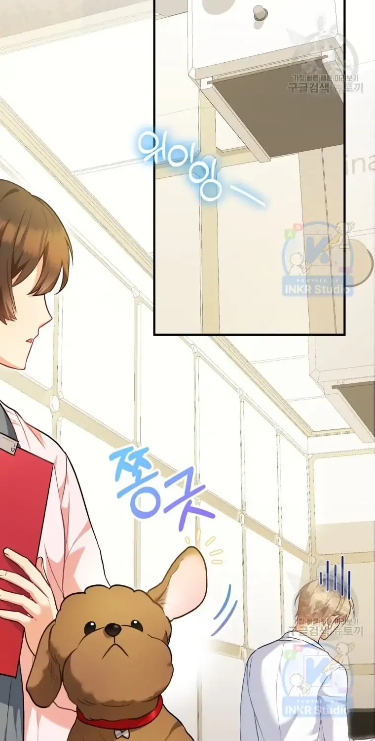 Read Hello! Veterinarian! chapter 3 image 19 on Lezhin