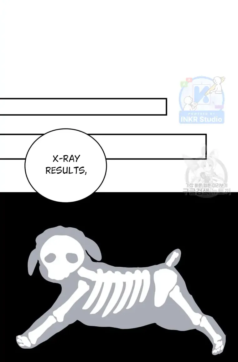 Read Hello! Veterinarian! chapter 3 image 22 on Lezhin