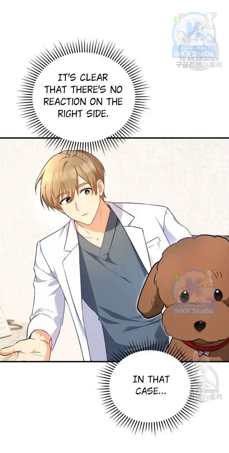 Read Hello! Veterinarian! chapter 3 image 51 on Lezhin