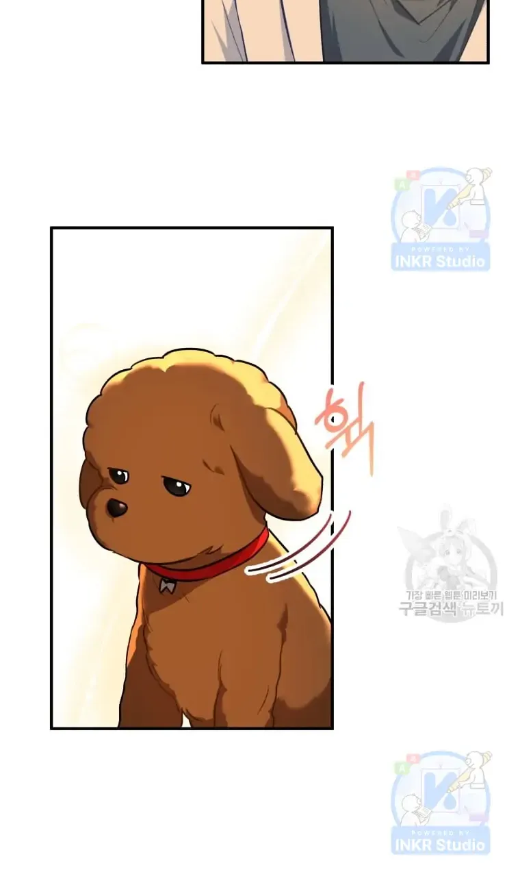 Read Hello! Veterinarian! chapter 3 image 67 on Lezhin