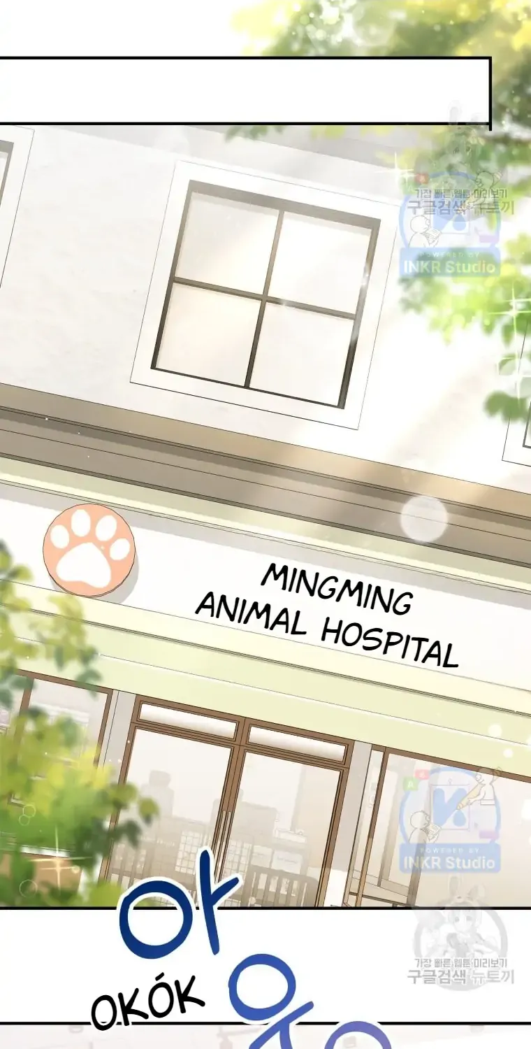 Read Hello! Veterinarian! chapter 3 image 69 on Lezhin