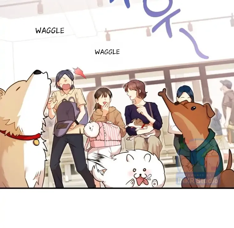 Read Hello! Veterinarian! chapter 3 image 70 on Lezhin