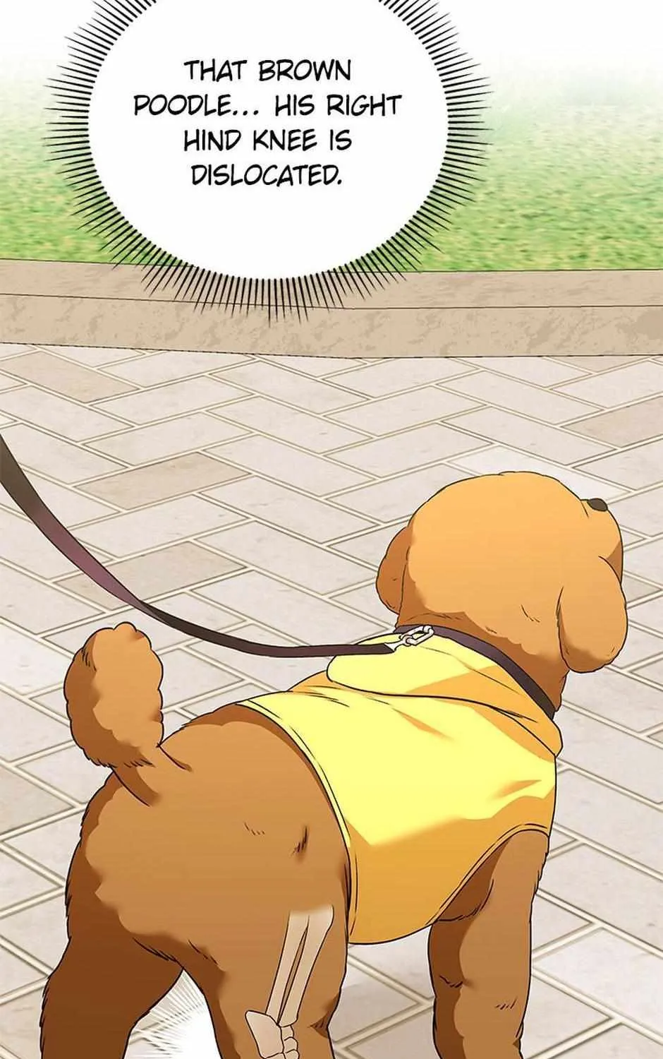 Read Hello! Veterinarian! chapter 31 image 42 on Lezhin