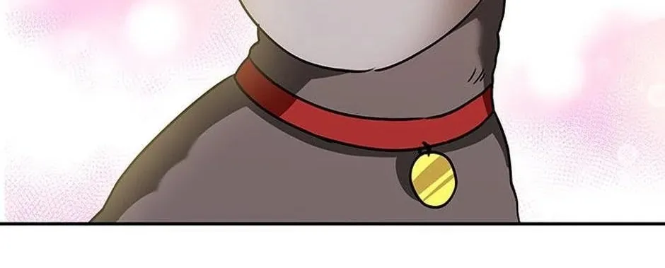Read Hello! Veterinarian! chapter 34 image 97 on Lezhin