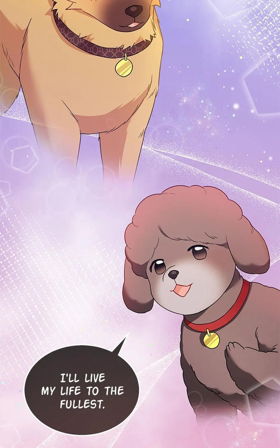 Read Hello! Veterinarian! chapter 36 image 3 on Lezhin