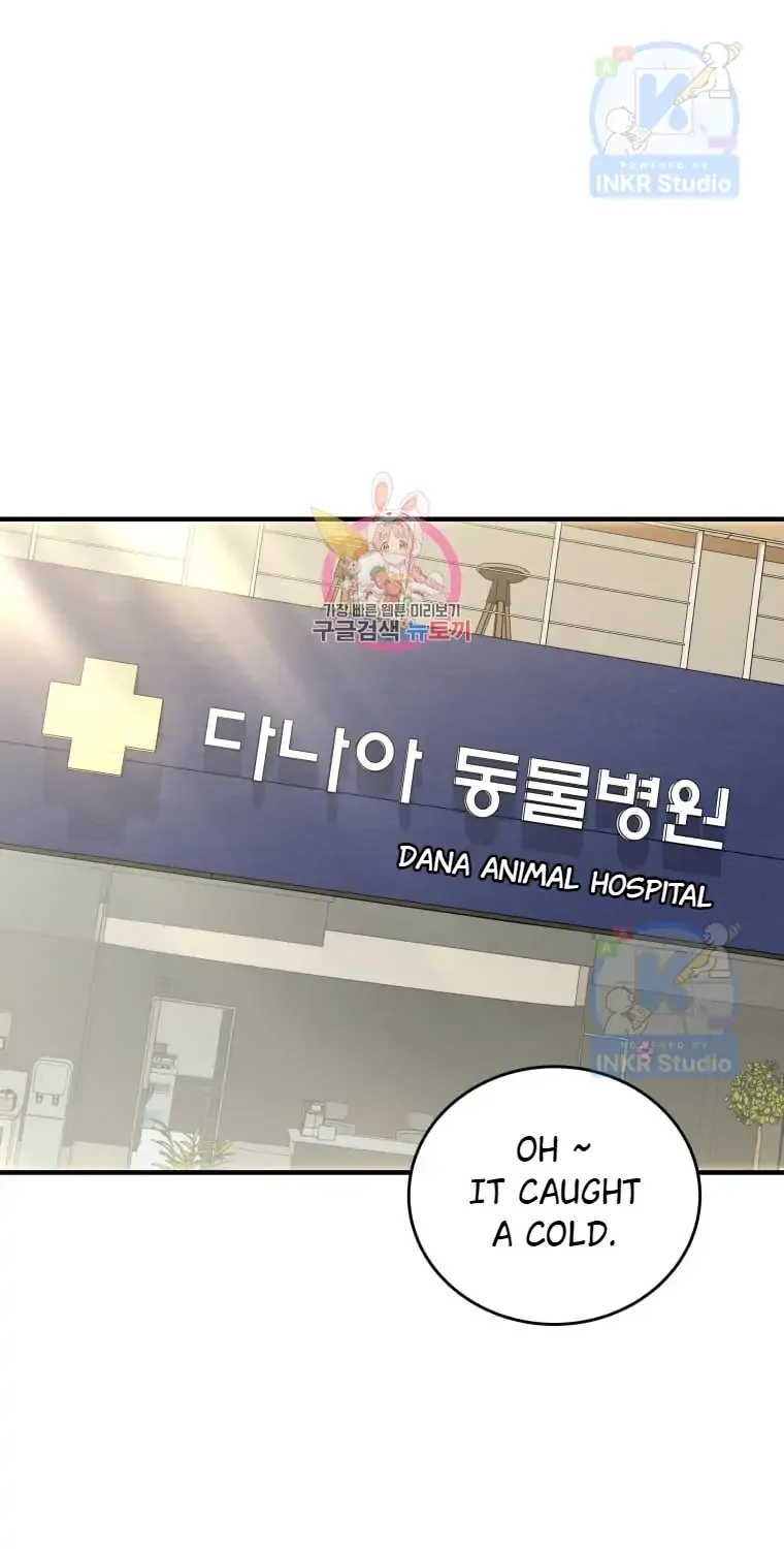 Read Hello! Veterinarian! chapter 4 image 1 on Lezhin
