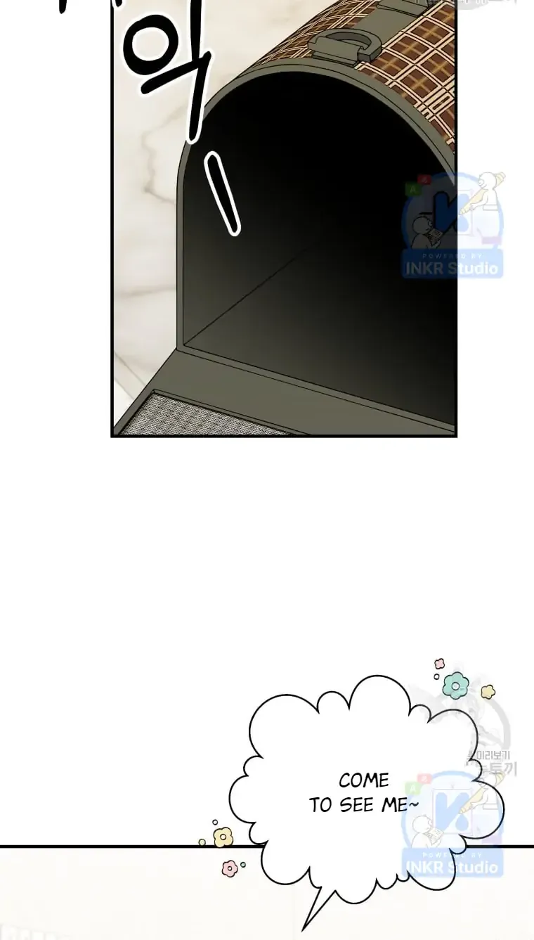 Read Hello! Veterinarian! chapter 4 image 34 on Lezhin