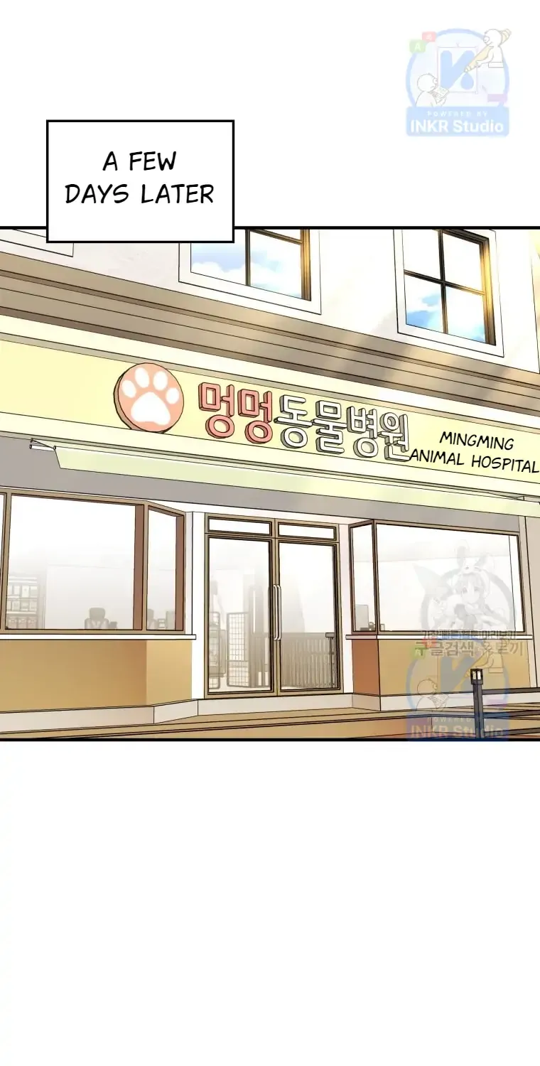 Read Hello! Veterinarian! chapter 4 image 72 on Lezhin