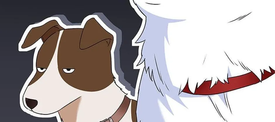 Read Hello! Veterinarian! chapter 41 image 116 on Lezhin