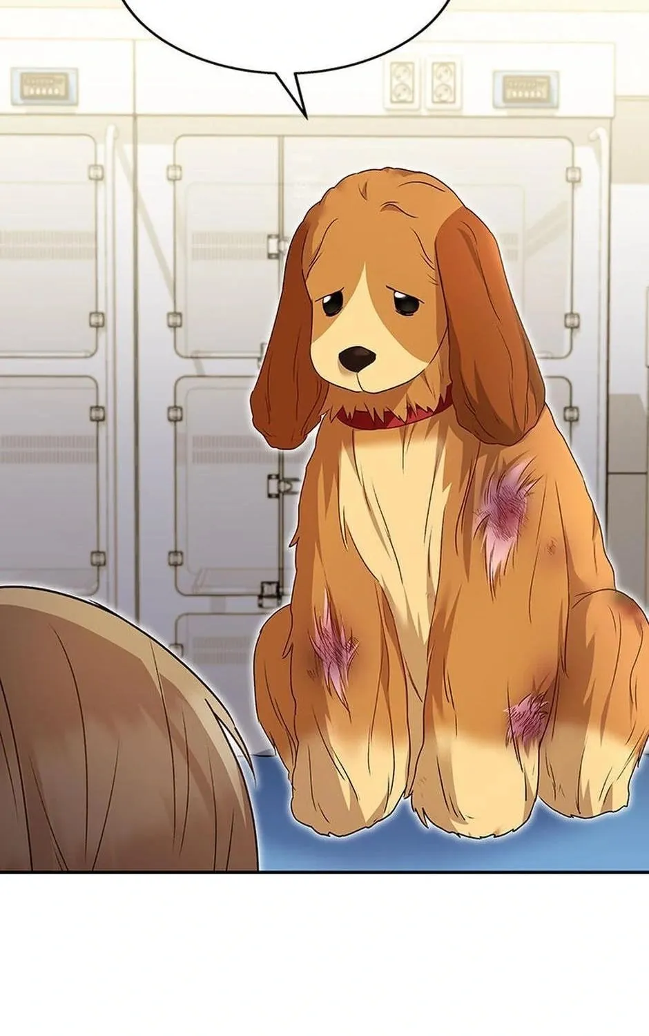 Read Hello! Veterinarian! chapter 43 image 59 on Lezhin