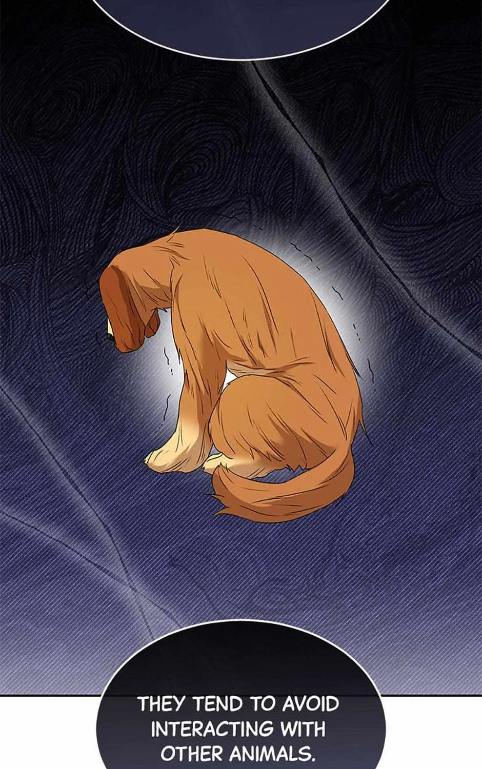 Read Hello! Veterinarian! chapter 46 image 76 on Lezhin