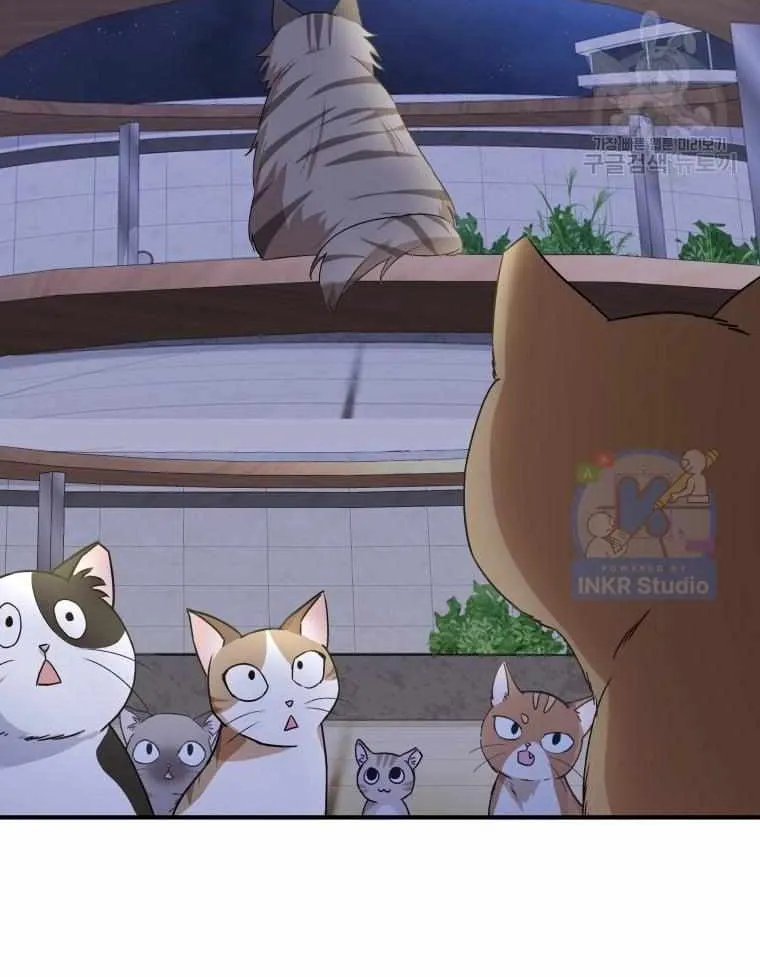 Read Hello! Veterinarian! chapter 5 image 103 on Lezhin