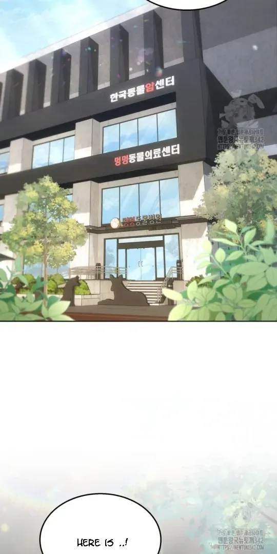Read Hello! Veterinarian! chapter 51 image 1 on Lezhin