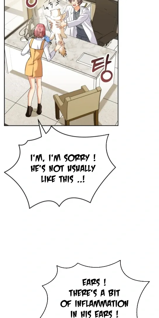 Read Hello! Veterinarian! chapter 52 image 77 on Lezhin