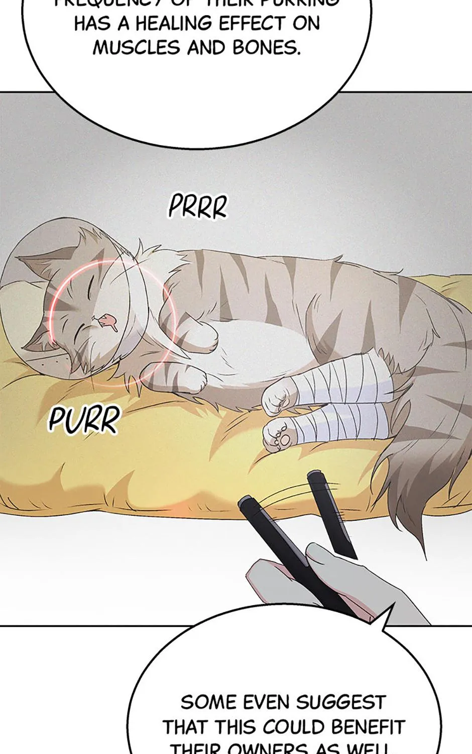 Read Hello! Veterinarian! chapter 62 image 10 on Lezhin