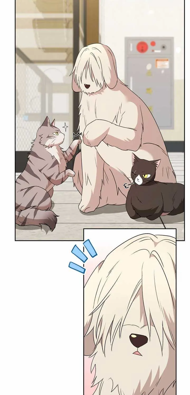 Read Hello! Veterinarian! chapter 73 image 25 on Lezhin