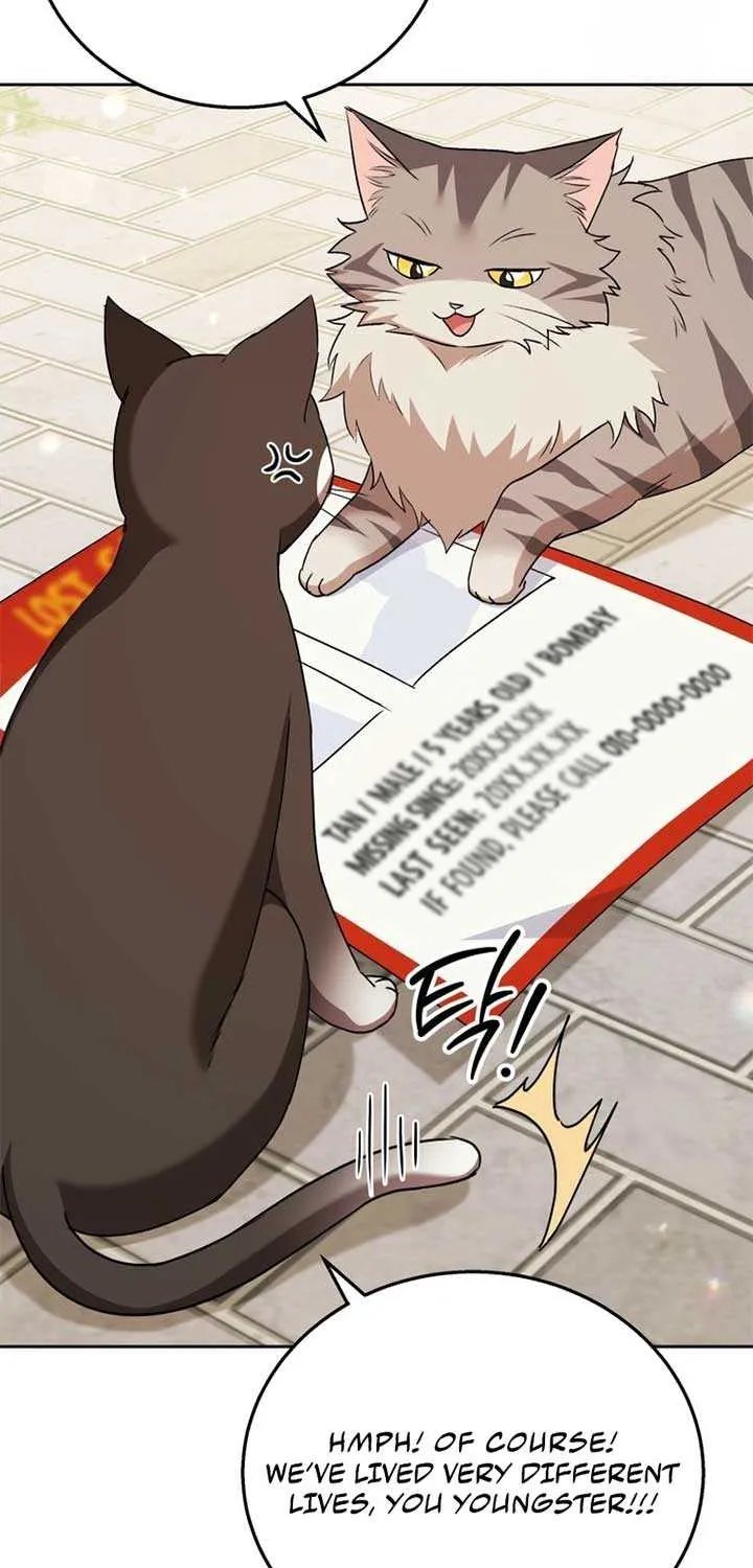 Read Hello! Veterinarian! chapter 75 image 41 on Lezhin