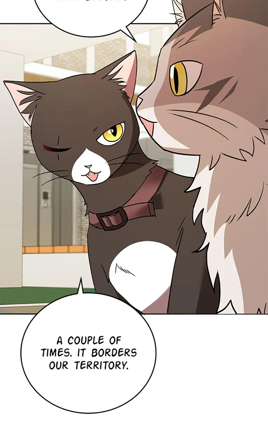 Read Hello! Veterinarian! chapter 76 image 58 on Lezhin