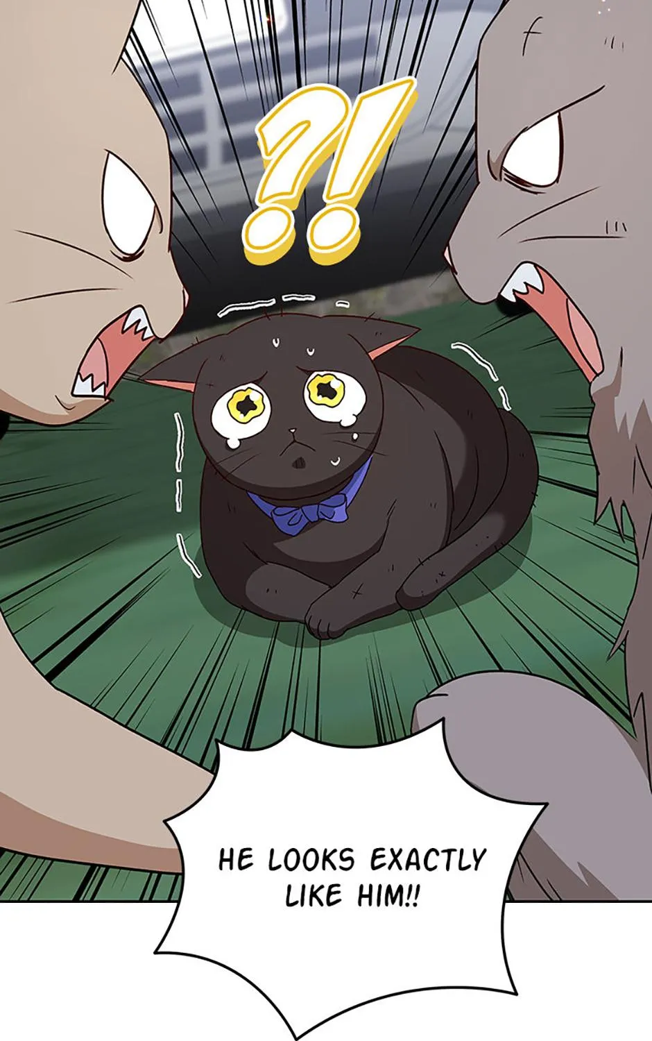 Read Hello! Veterinarian! chapter 77 image 11 on Lezhin
