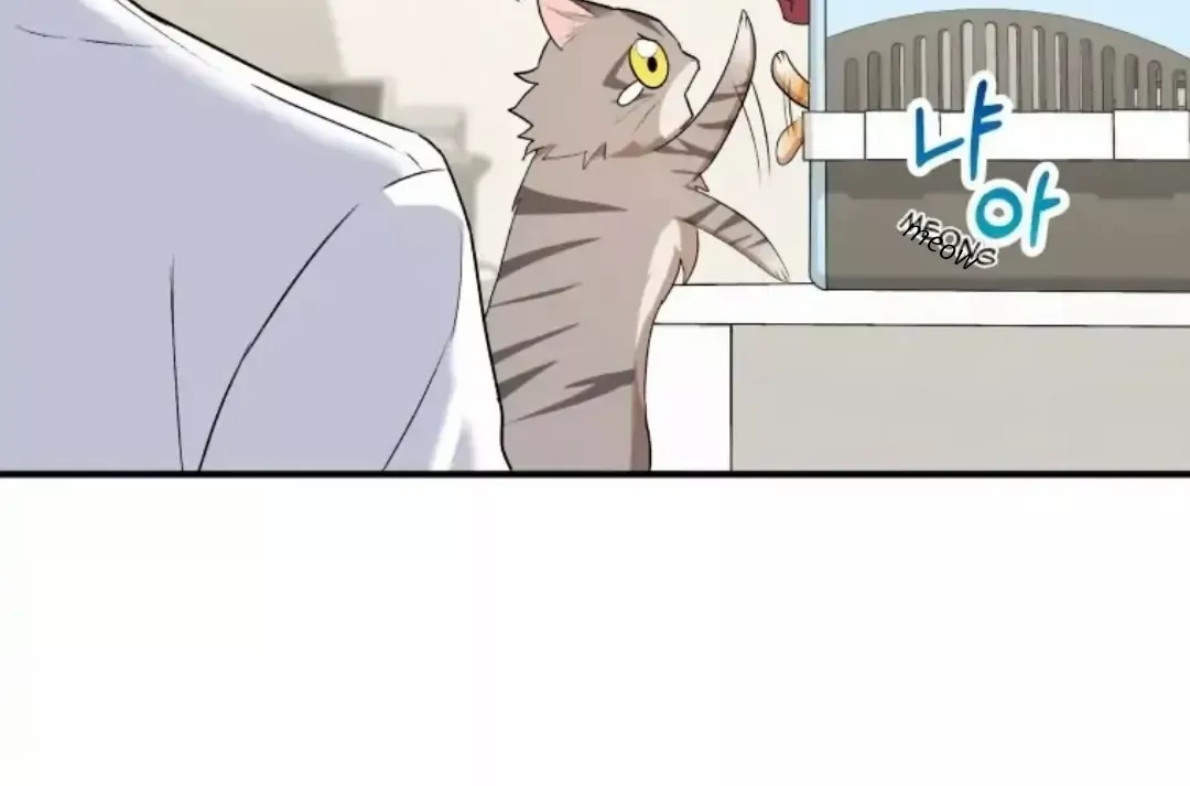 Read Hello! Veterinarian! chapter 8 image 97 on Lezhin