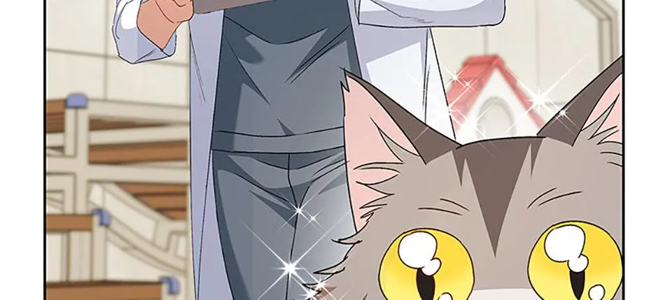 Read Hello! Veterinarian! chapter 85 image 13 on Lezhin