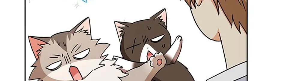 Read Hello! Veterinarian! chapter 85 image 151 on Lezhin