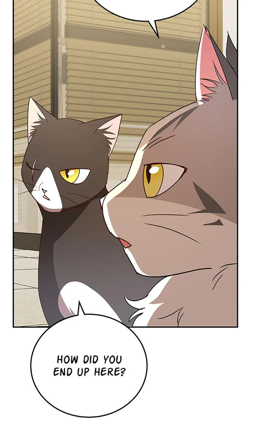 Read Hello! Veterinarian! chapter 85 image 64 on Lezhin