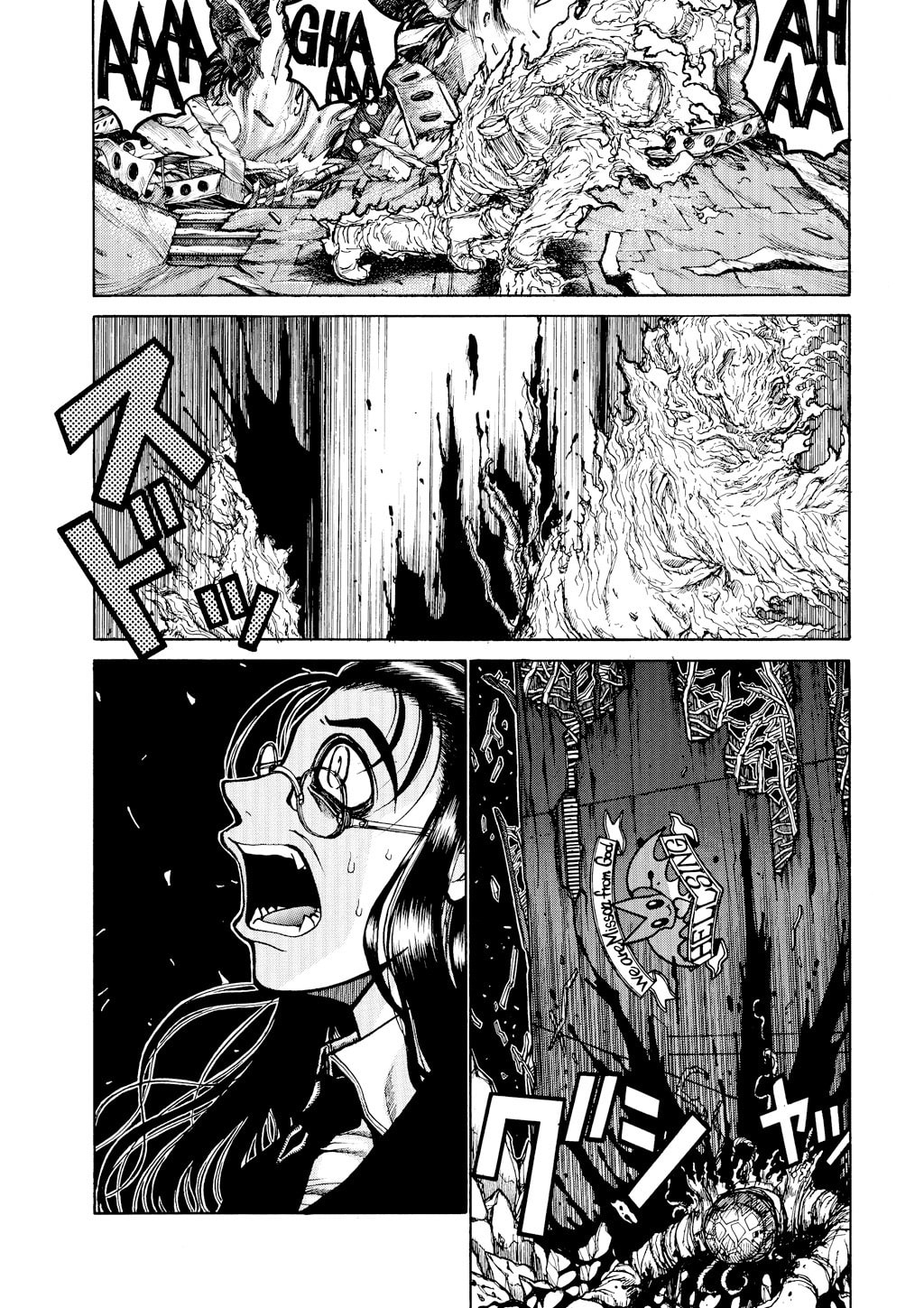 Read HELLSING chapter 31 image 23 on Lezhin