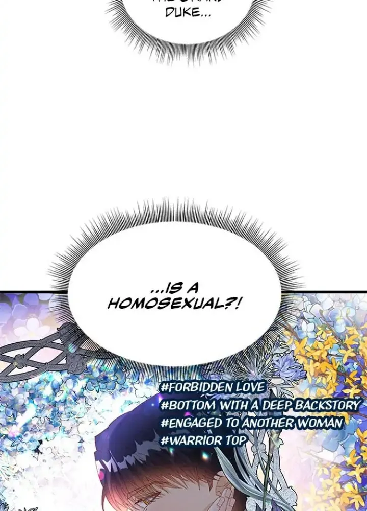 Her Ladyship's Double Life Chapter 13 page 17 - 