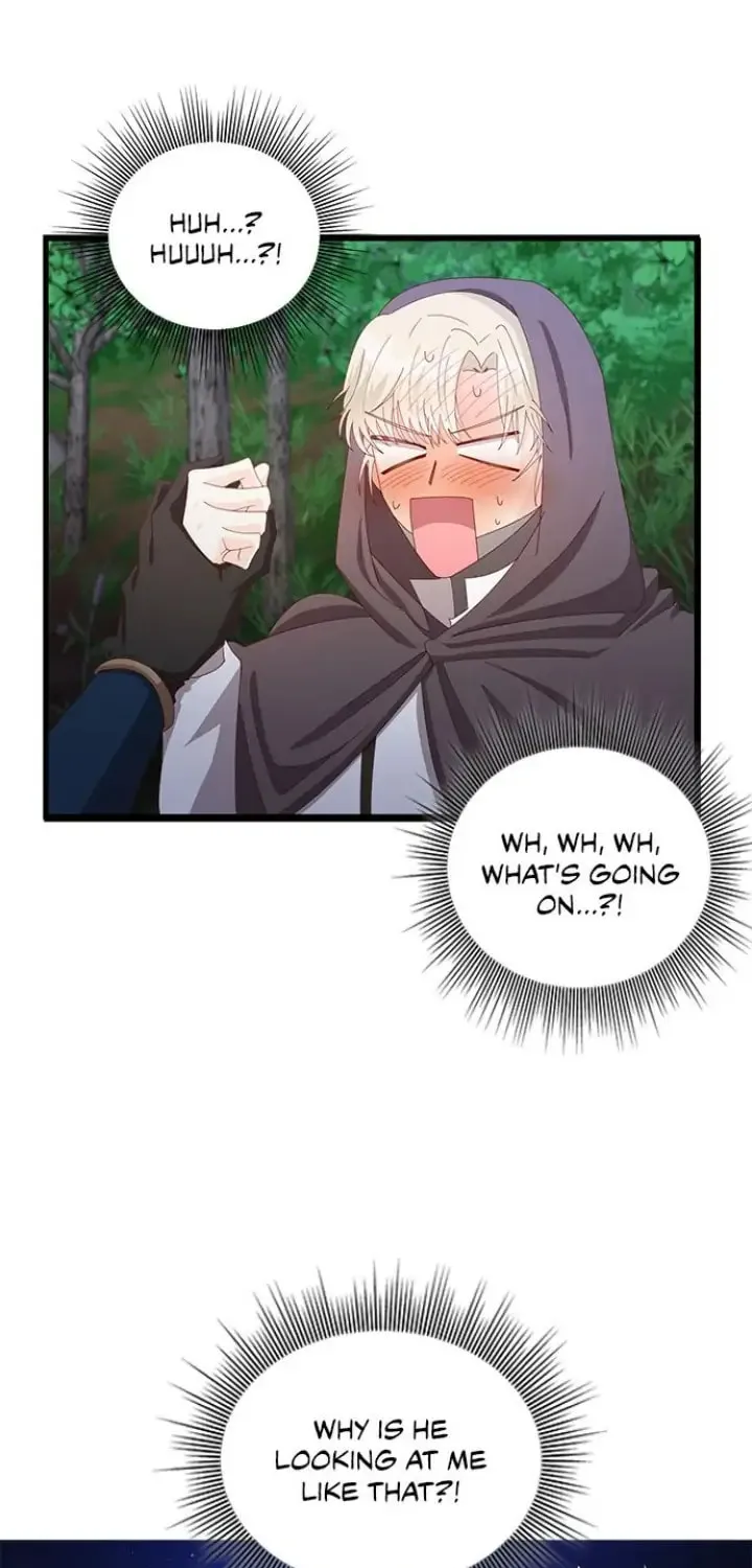 Her Ladyship's Double Life Chapter 13 page 30 - 
