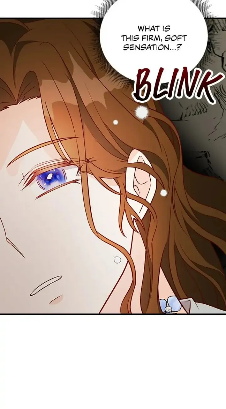 Her Ladyship's Double Life Chapter 21 page 43 - 