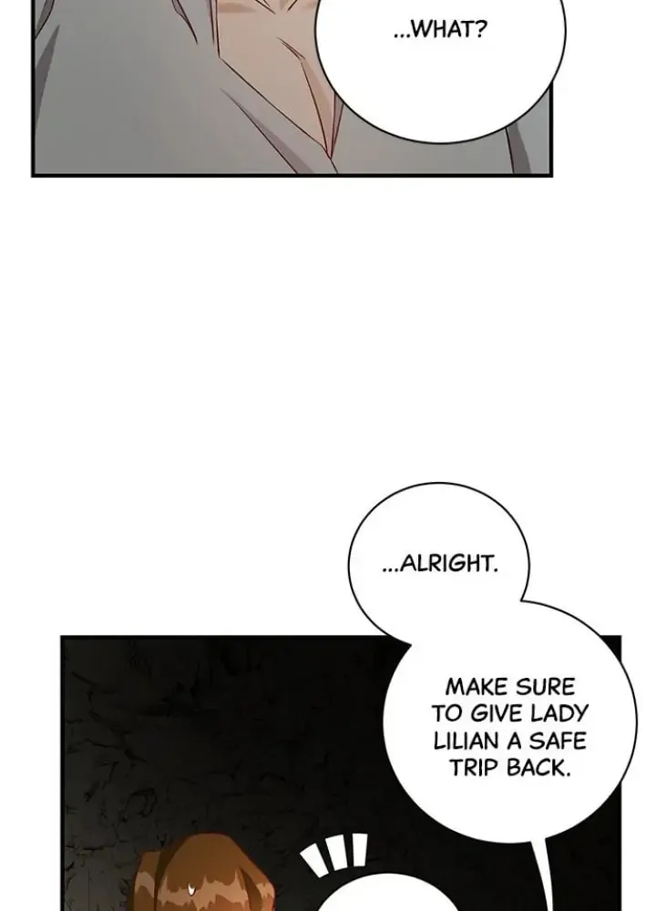 Her Ladyship's Double Life Chapter 21 page 65 - 