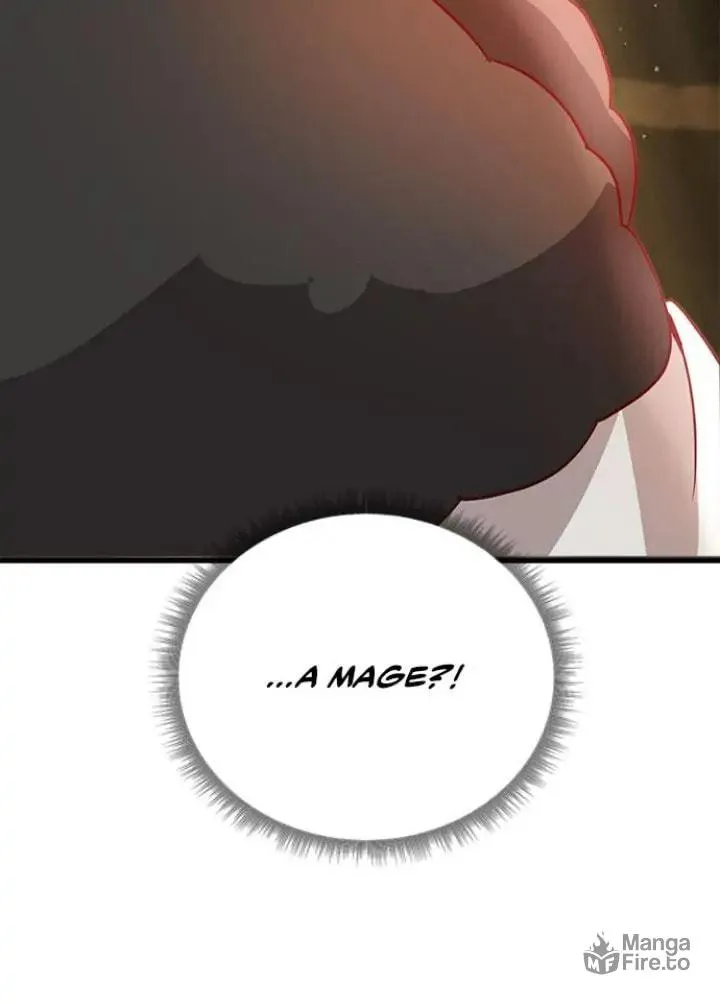 Her Ladyship's Double Life Chapter 49 page 72 - 