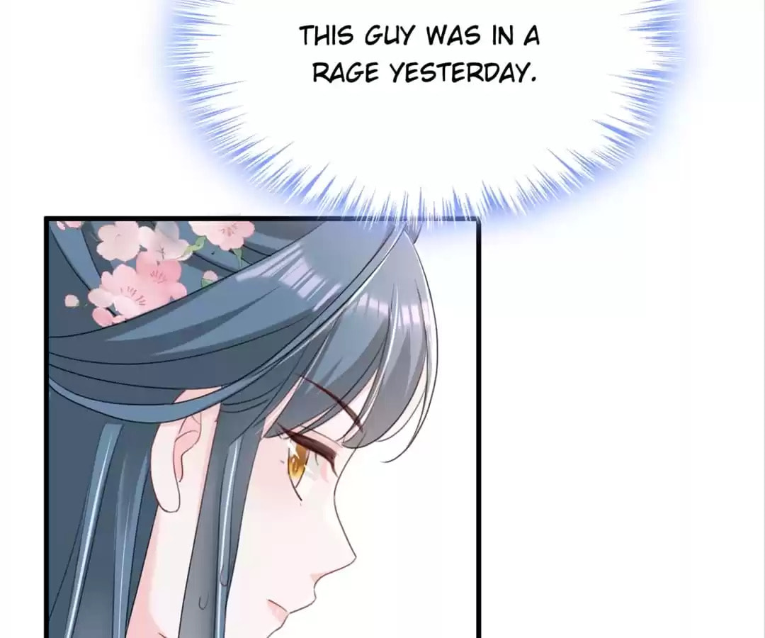 Read Her Ladyship