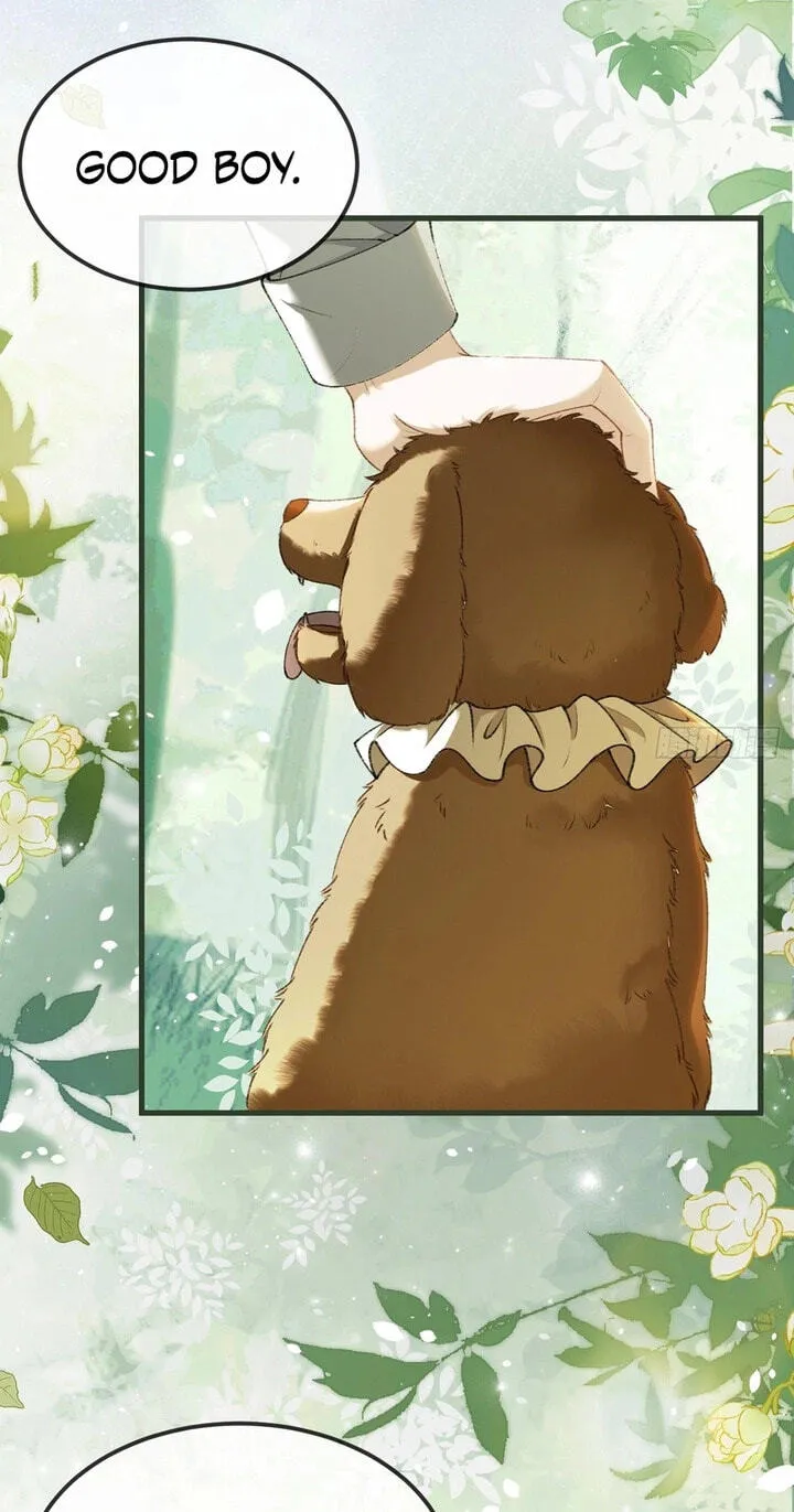 Read Her Lies (Vigor Comic) chapter 20 image 61 on Lezhin