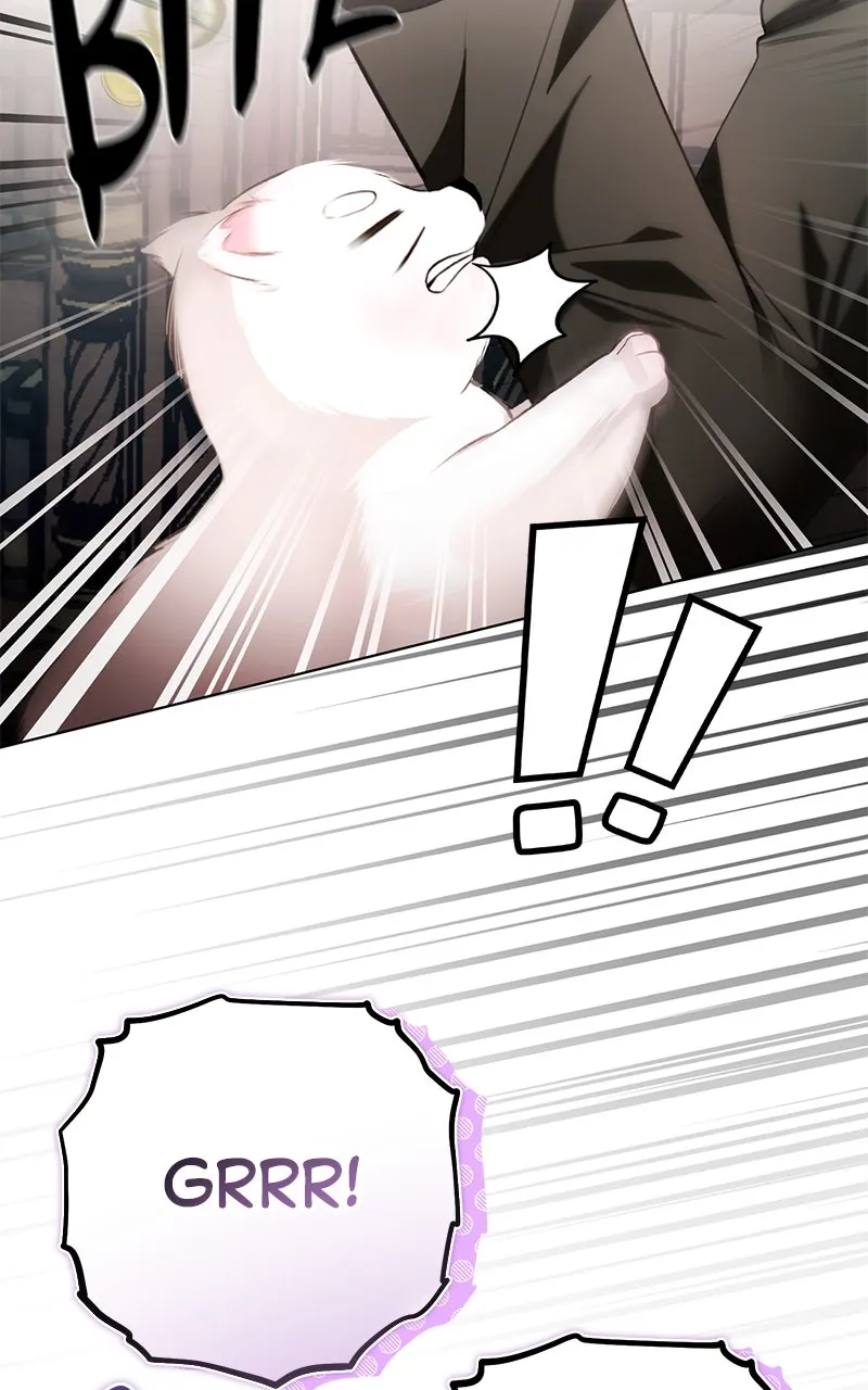 Read Her Tiny Highness,the Mastermind chapter 26 image 9 on Lezhin
