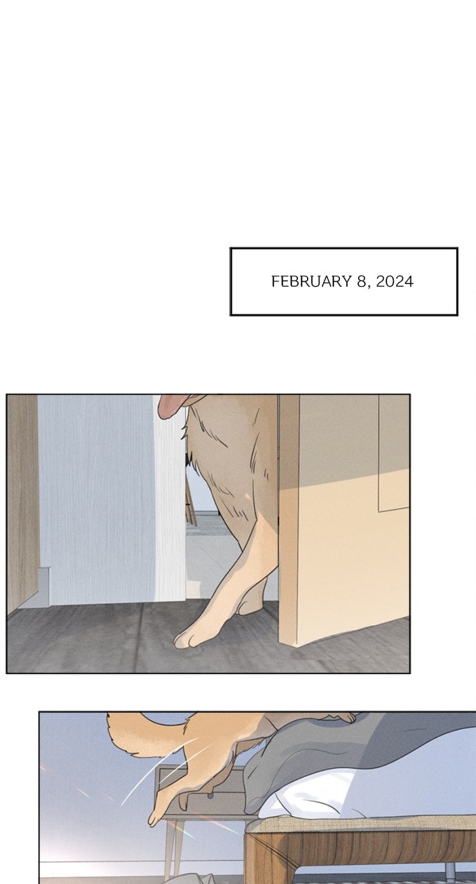 Read Here U Are chapter 109 image 1 on Lezhin