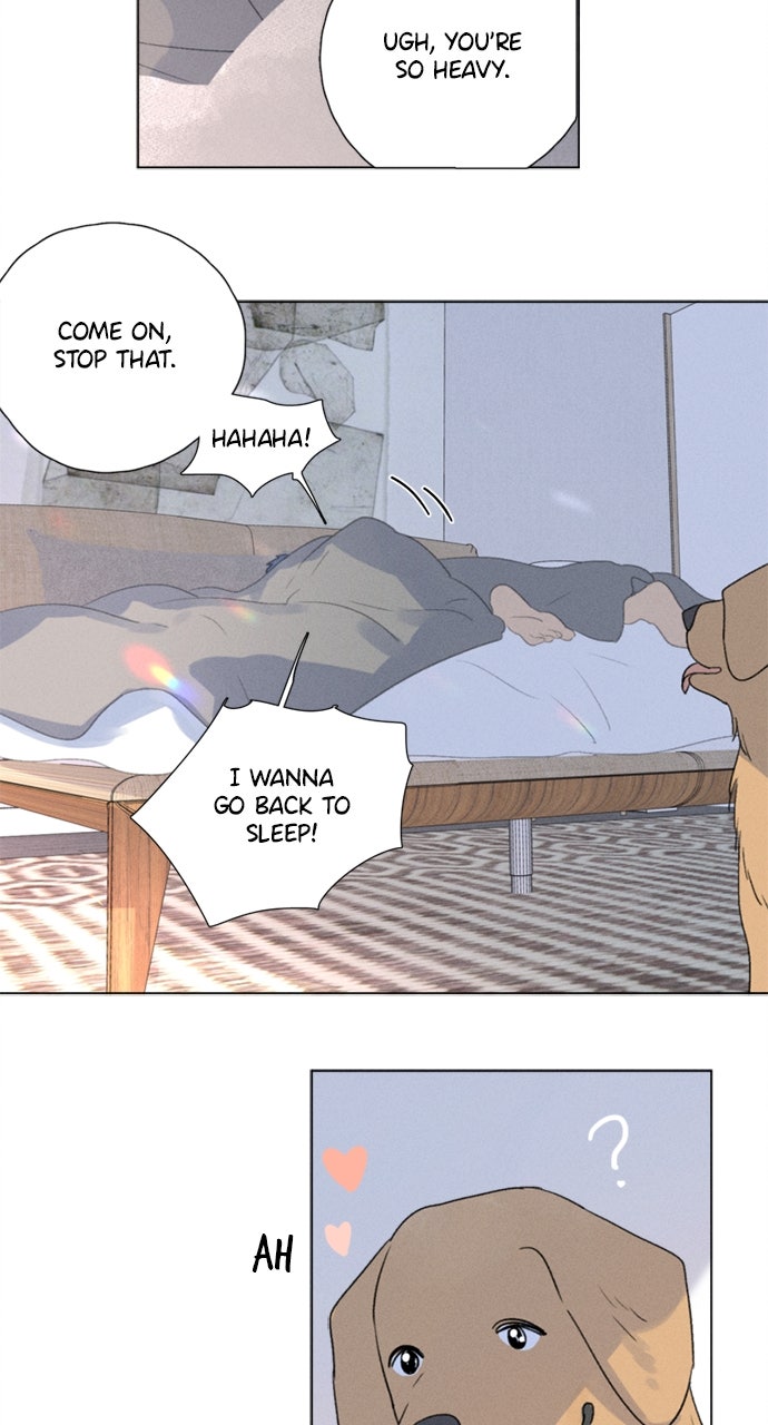 Read Here U Are chapter 109 image 5 on Lezhin