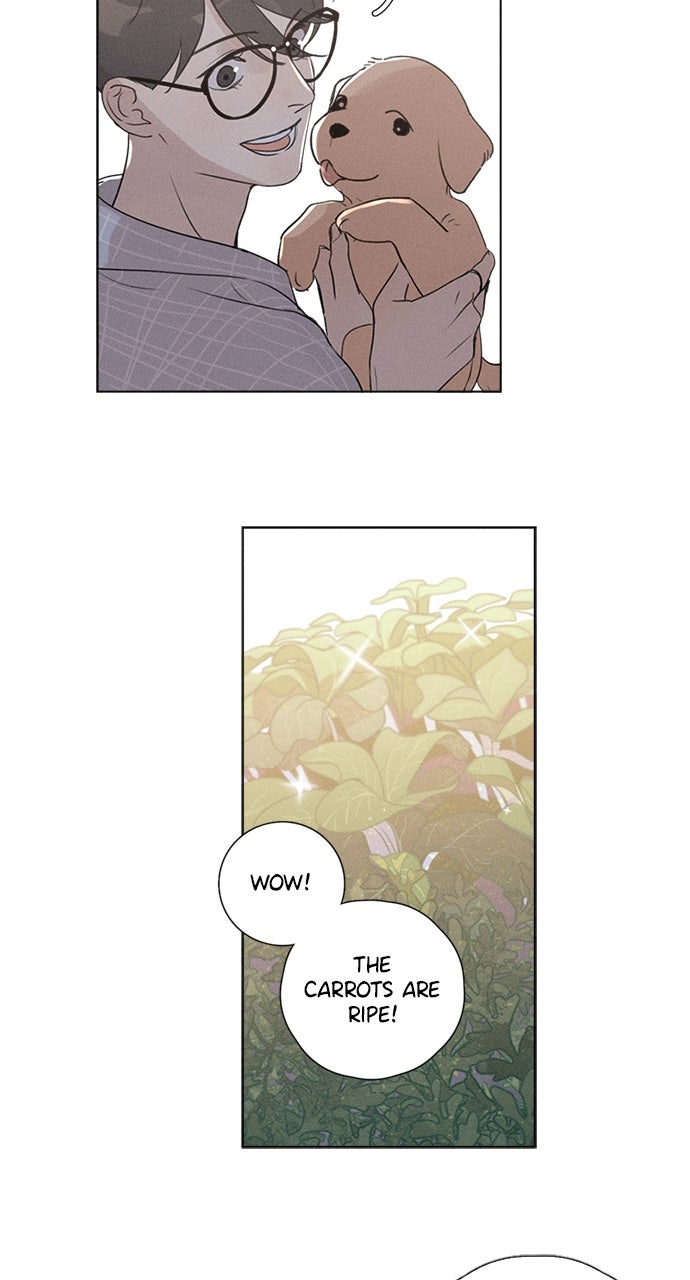 Read Here U Are chapter 135 image 4 on Lezhin