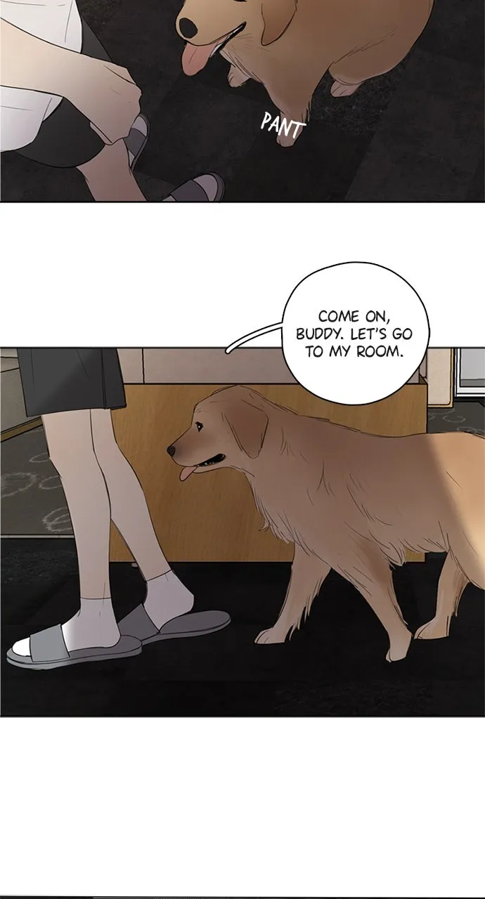 Read Here U Are chapter 48 image 15 on Lezhin
