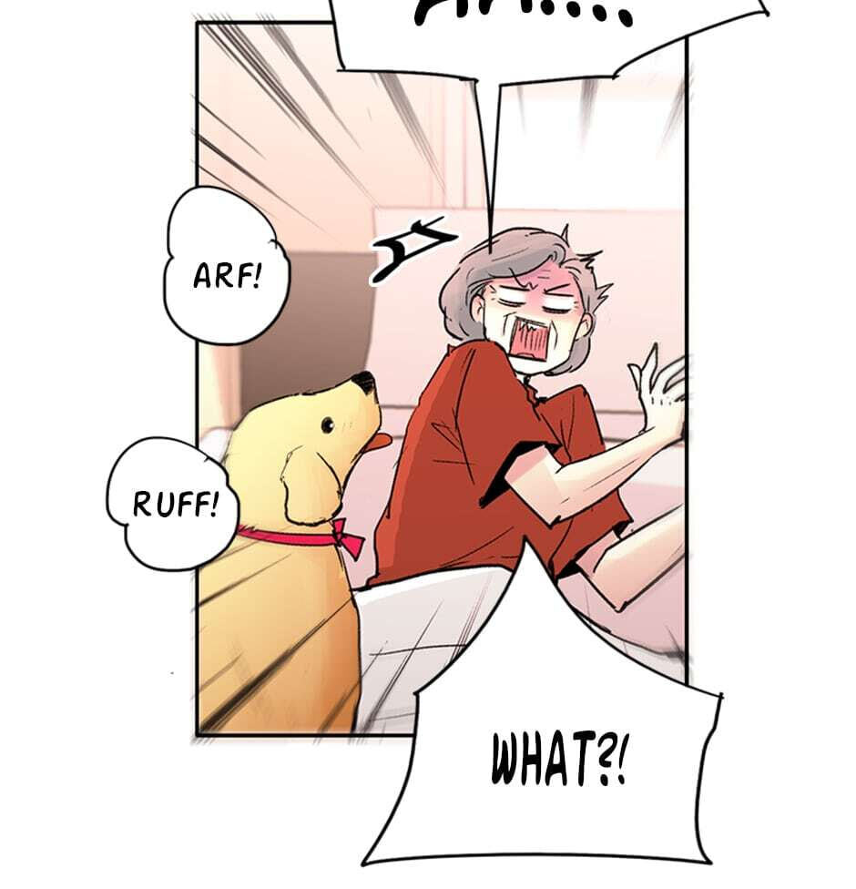 Read Here We Go Again chapter 63 image 7 on Lezhin
