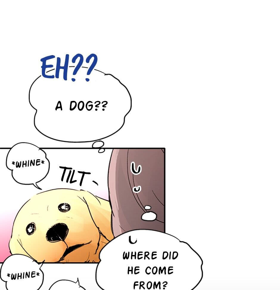 Read Here We Go Again chapter 63 image 8 on Lezhin