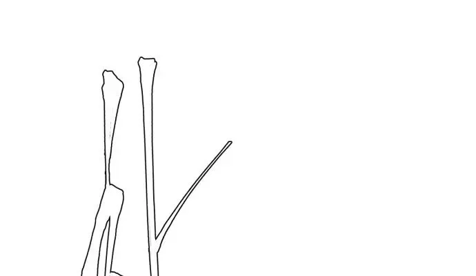 Read Hero Ticket chapter 2.1 image 64 on Lezhin