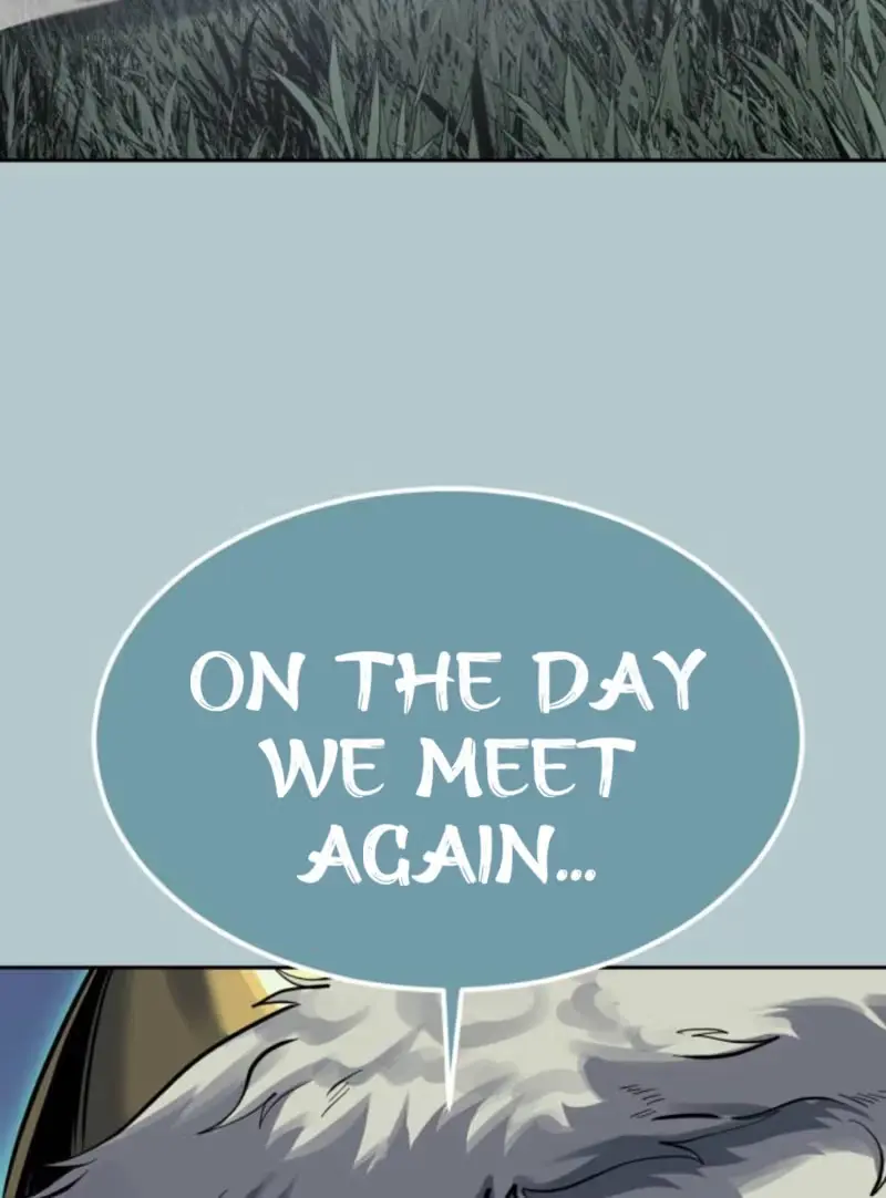 Hero Ticket Chapter 339 page 217 - 