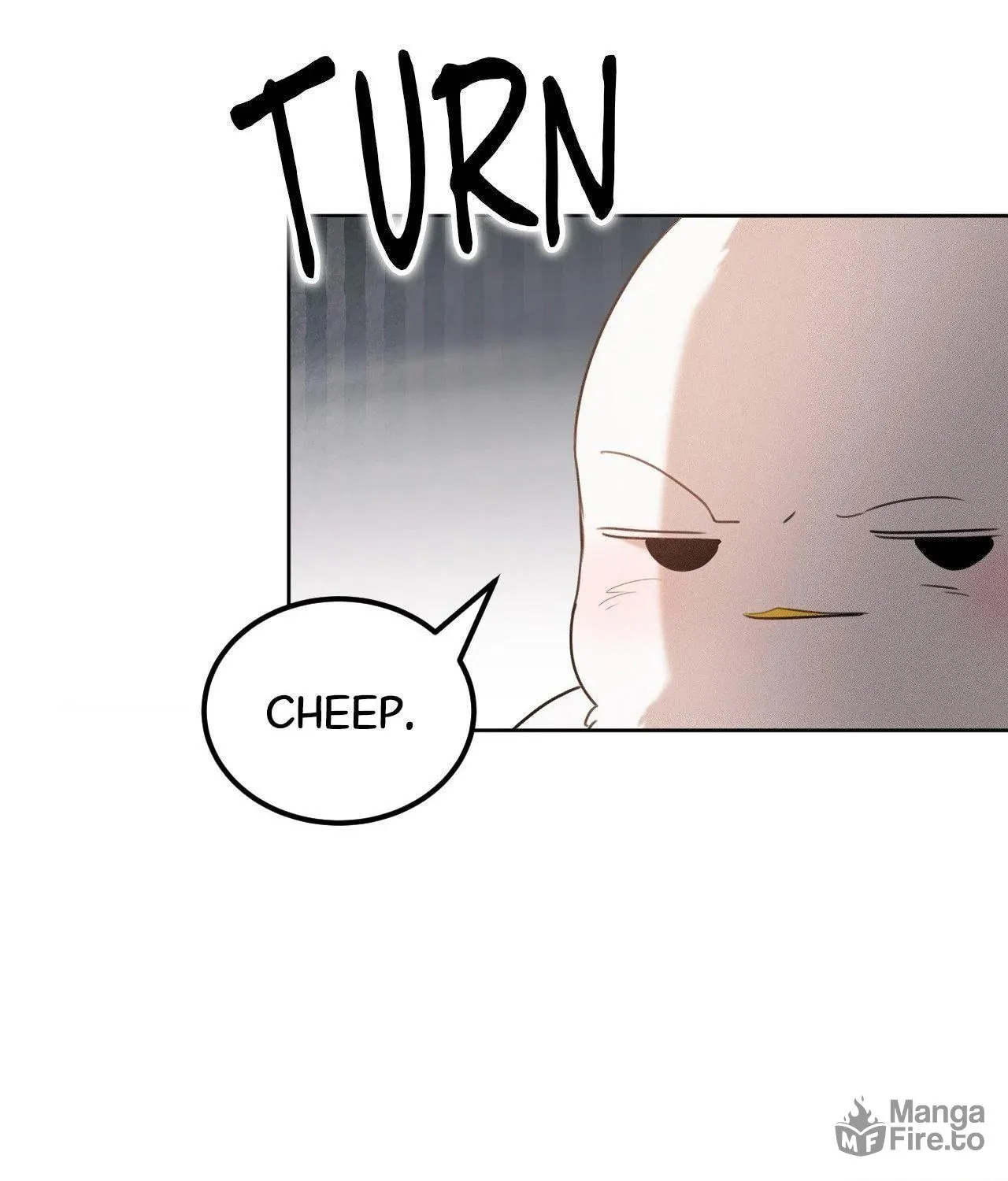 Read Hey, Don