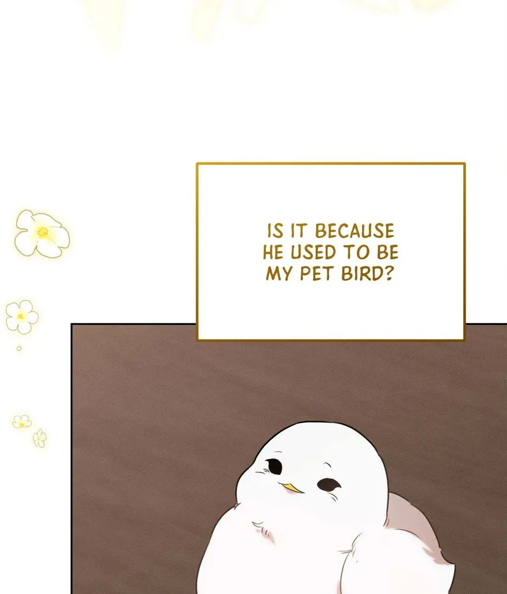 Hey, Don't Press That Button Chapter 40 page 153 - 