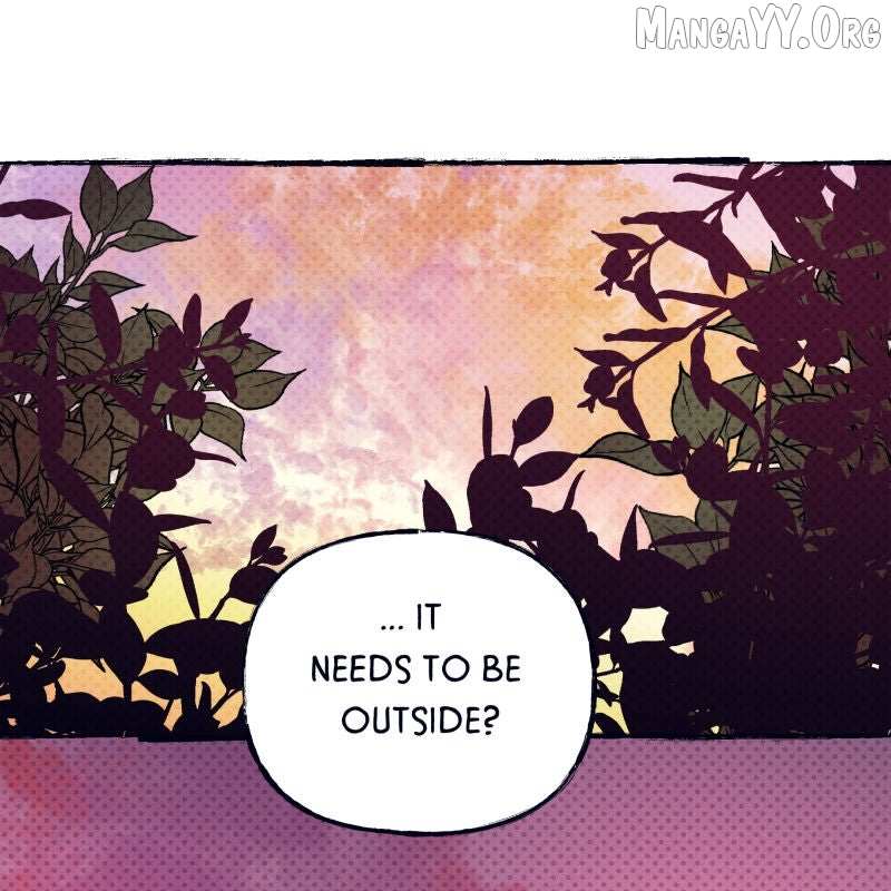 Hiding in the Moon Chapter 71 page 1 - 