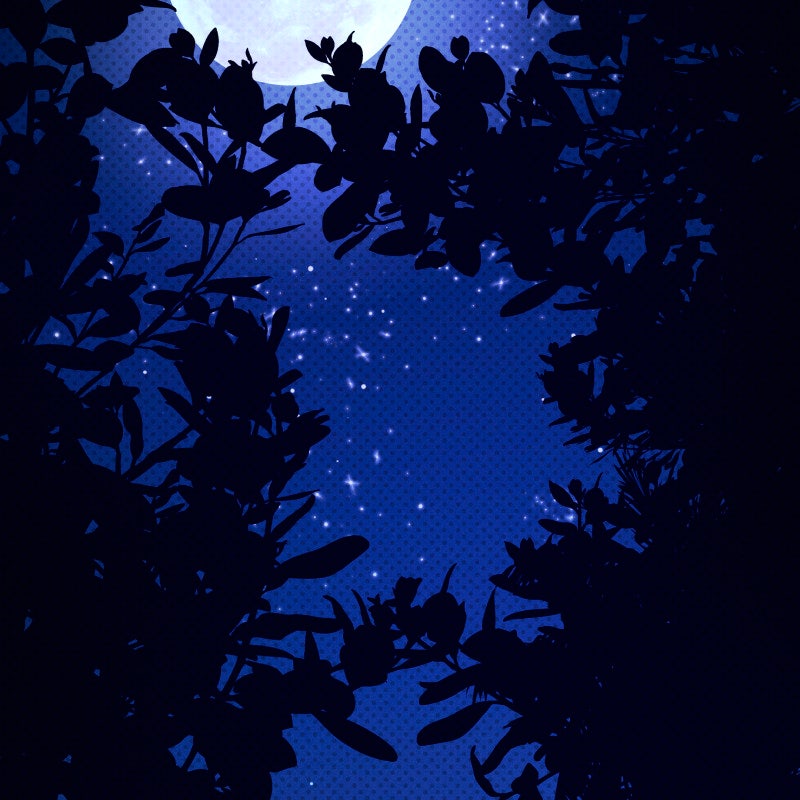 Hiding in the Moon Episode 79 (Series Finale) page 78 - 