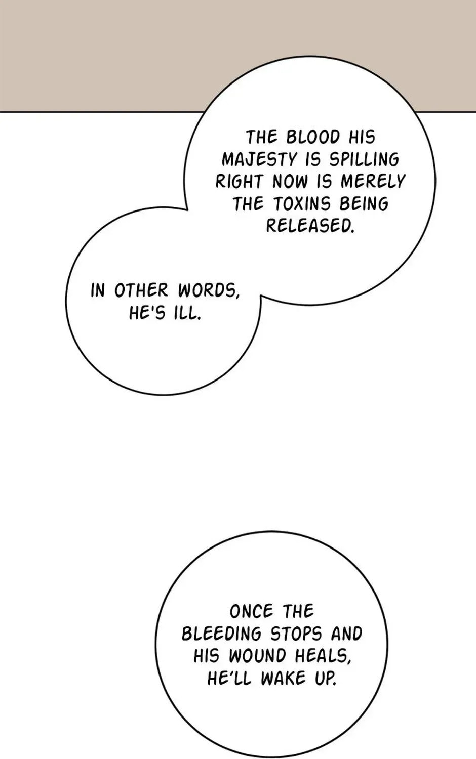 Hiding the Archduke's Humiliating History Chapter 107 page 79 - 